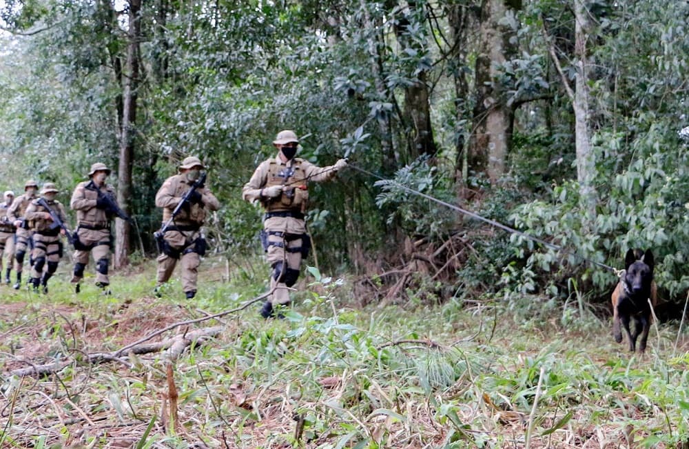 PMs realizaram buscas pela região (Foto: Polícia Militar)