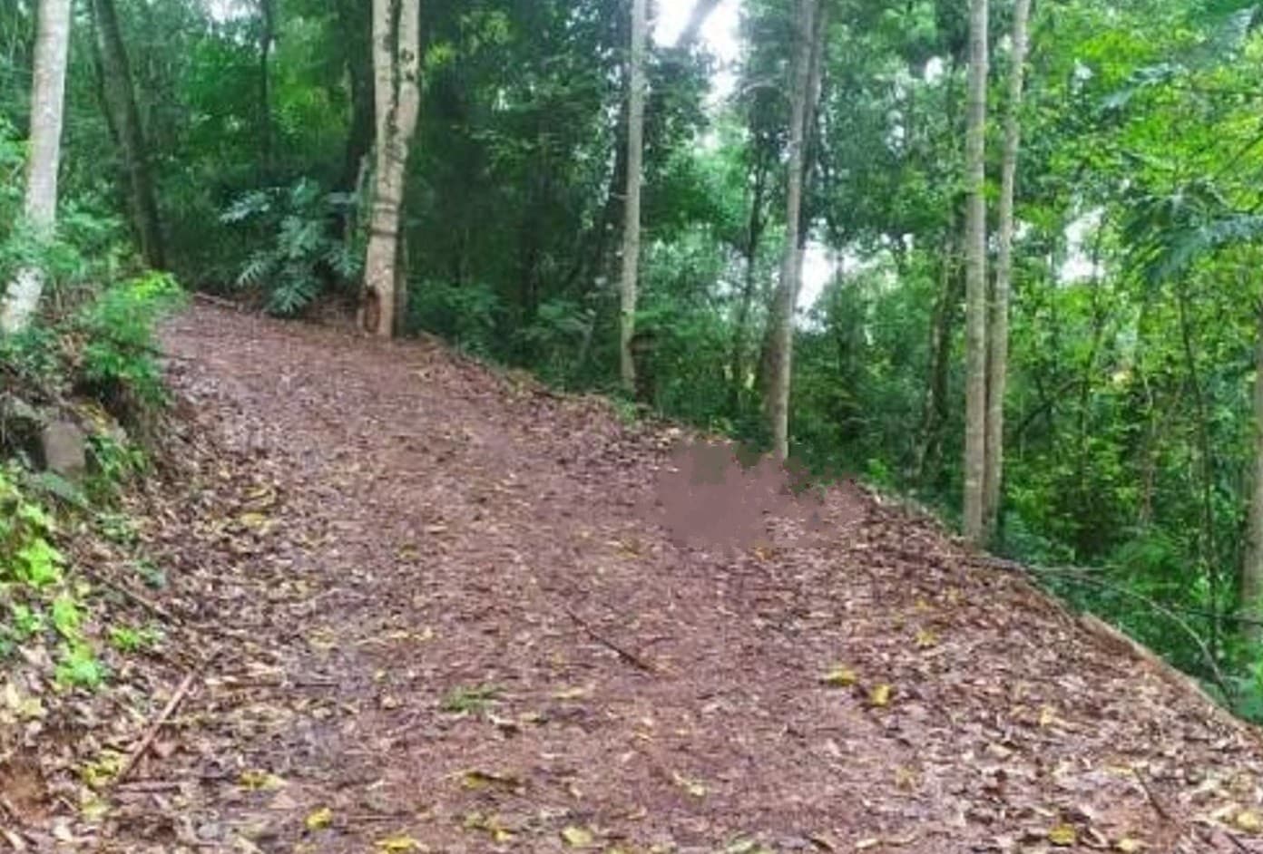 Negociação e homicídio ocorreram em matagal (Foto: Polícia Civil)
