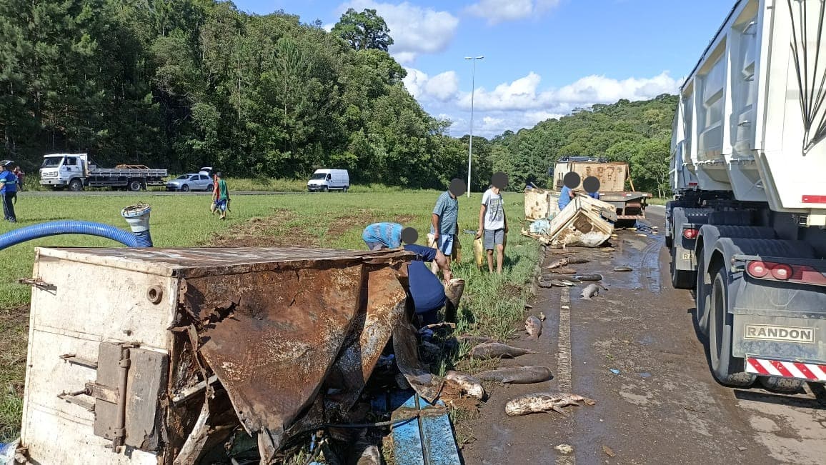 Moradores saquearam carga no Oeste de Santa Catarina (Foto: Corpo de Bombeiros Voluntários)