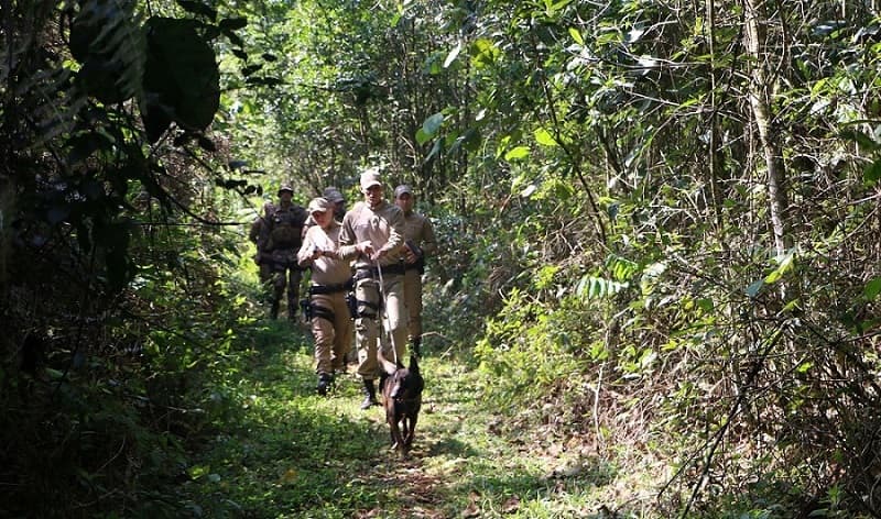 Menina foi localizada por PMs embaixo de arbusto (Foto: Polícia Militar )