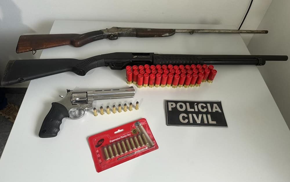 Armamento foi encontrado por investigadores (Foto: Polícia Civil)
