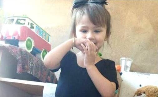 Isabelle de Freitas, de 3 anos, desapareceu em Indaial (Foto: Redes Sociais)