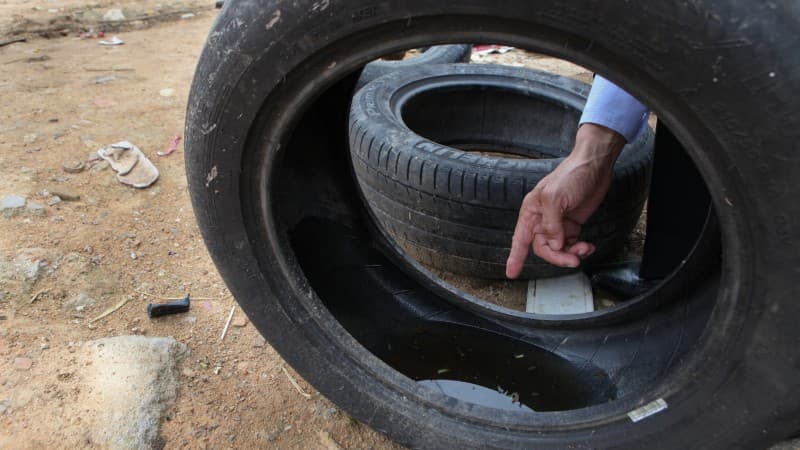 Terremos serão vistoriados em Nova Erechim afim de eliminar criadouros do mosquito da dengue (Foto: Divulgação )