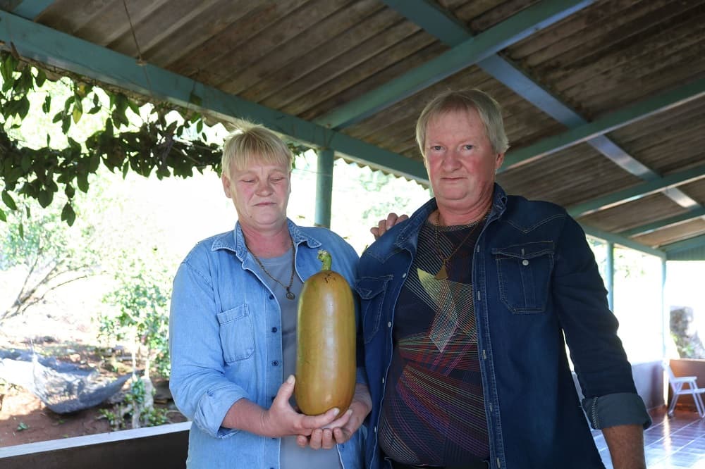 Casal ficou muito contente com fruta colhida (Foto: Henrique Paulo Koch)