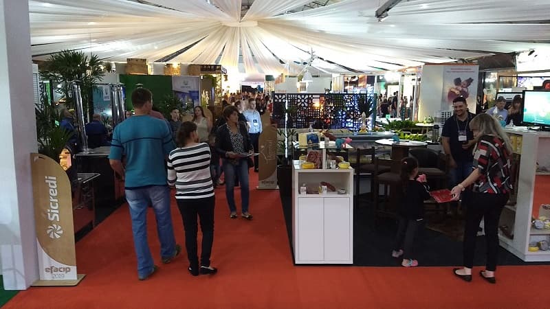 Milhares de pessoas passaram pelo parque da Efacip em 2019 (Foto: RCO)