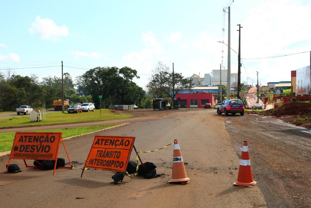Placas de sinalização e cones foram dnaificados (Foto: Renan Ribeiro)