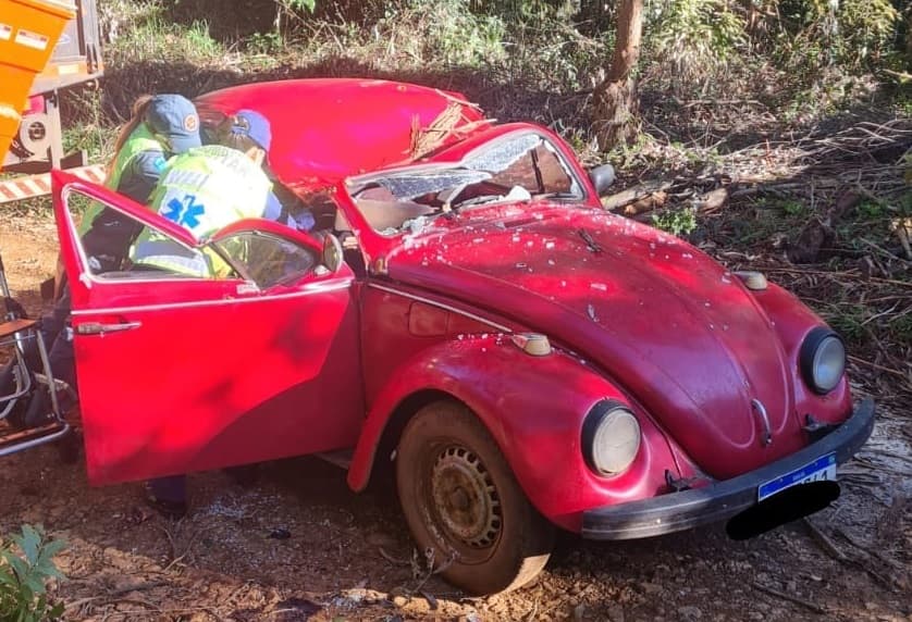 Automóvel foi esmagado por árvore (Foto: Corpo de Bombeiros)