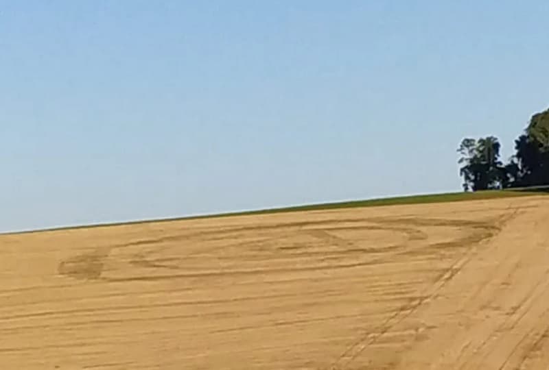 Agroglifo marca terreno mesmo com colheita em Ipuaçu (Foto: Arquivo pessoal)