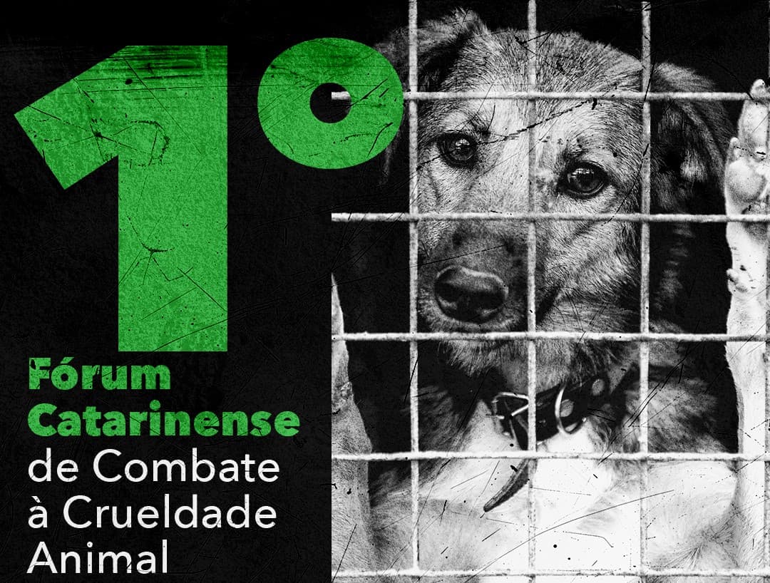 Causa animal vem ganhando força em parceria do estado com os municípios (Foto: Secom SC)