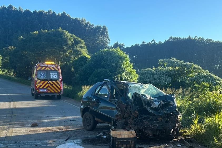 Mulher não resistiu a gravidade das lesões (Foto: Corpo de Bombeiros)