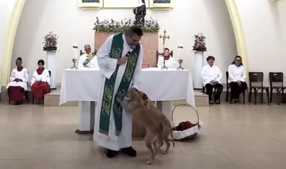 Padre brinca com cães, que invadiram missa (Foto: Reprodução / Youtube)