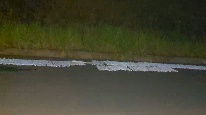Material precisou ser manuseado por policiais treinados (Foto: Polícia Militar)