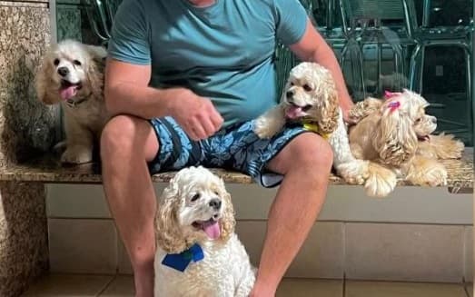 Cachorros da raça cocker americano foram atacados (Foto: Arquivo pessoal)