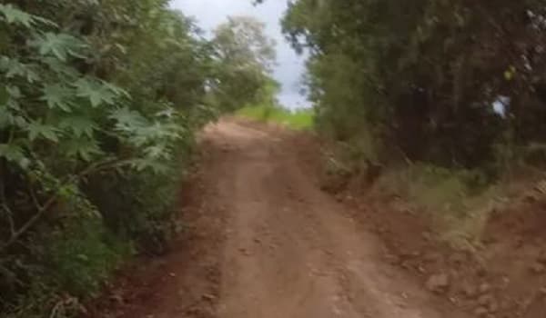 Caso aconteceu na linha Barra do Maidana (Foto: Divulgação)