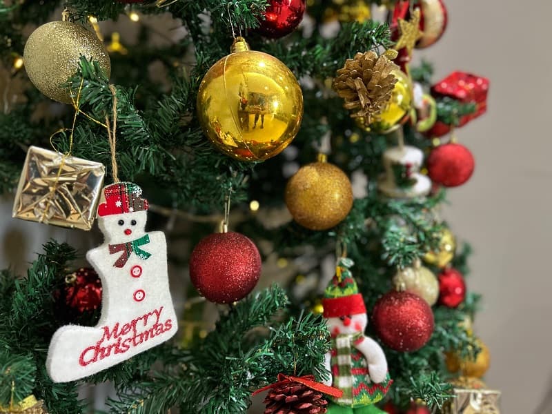 Modelo abre inscrições para concurso de decoração natalina (Foto: Gilmar Bortese)