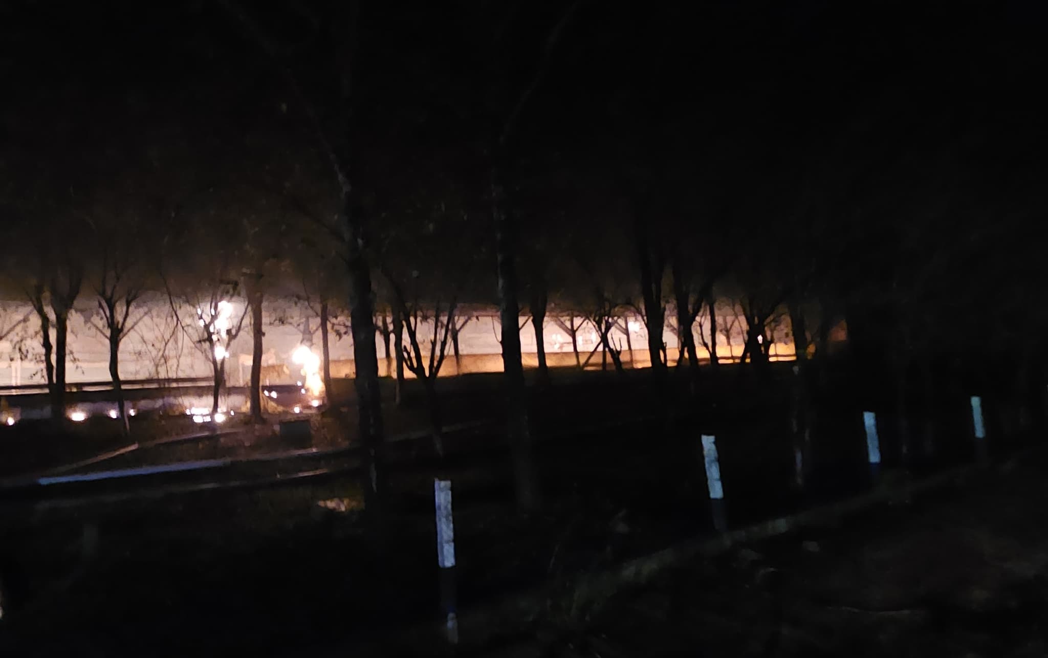 Chamas onde animais estavam alojados (Foto: Corpo de Bombeiros)