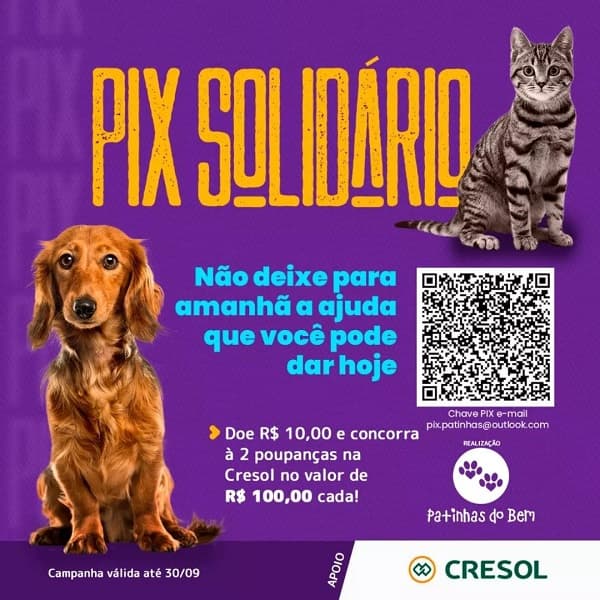 O sorteio da Campanha será transmitido pelas redes do Patinhas do Bem (Foto: Assessoria de Imprensa)