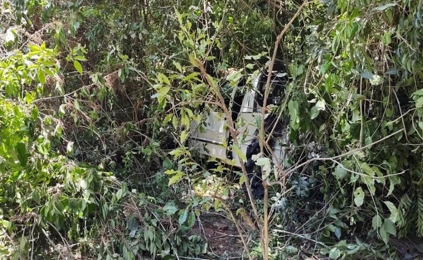 Utilitário foi encontrado dentro de matagal (Foto: Polícia Militar)