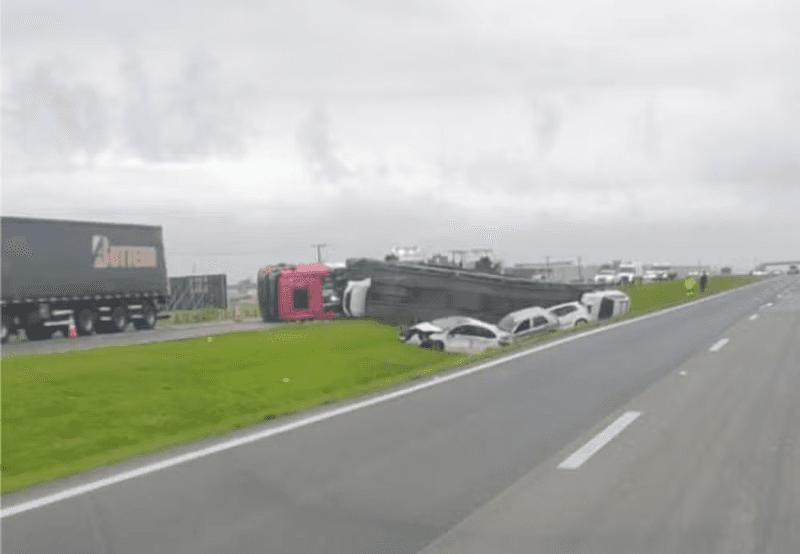 Automóveis ficaram espalhados em canteiro; grama amorteceu queda (Foto: Divulgação)