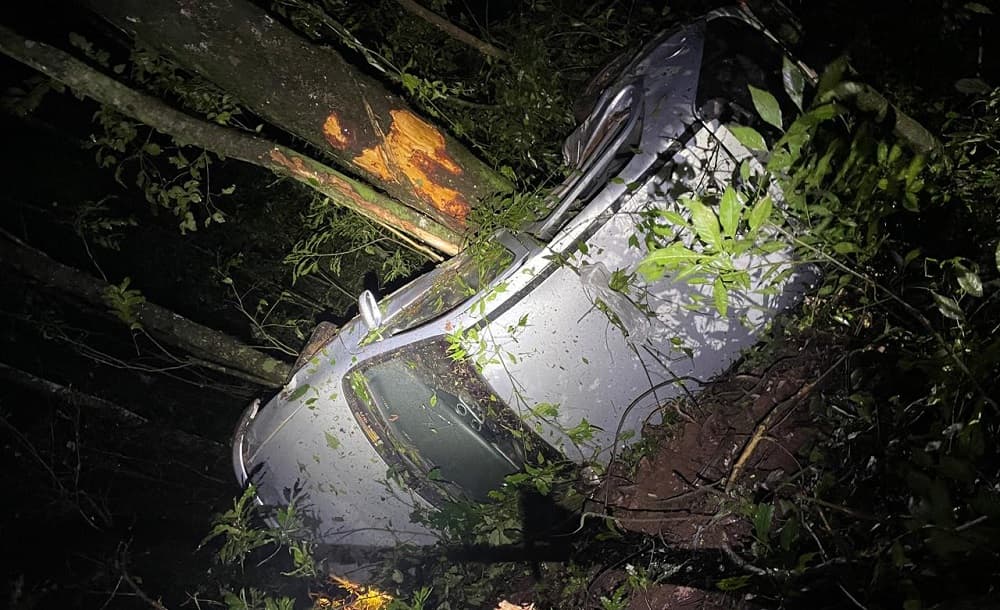 Vítima conseguiu sair do carro sozinha e foi salva (Foto: Corpo de Bombeiros)