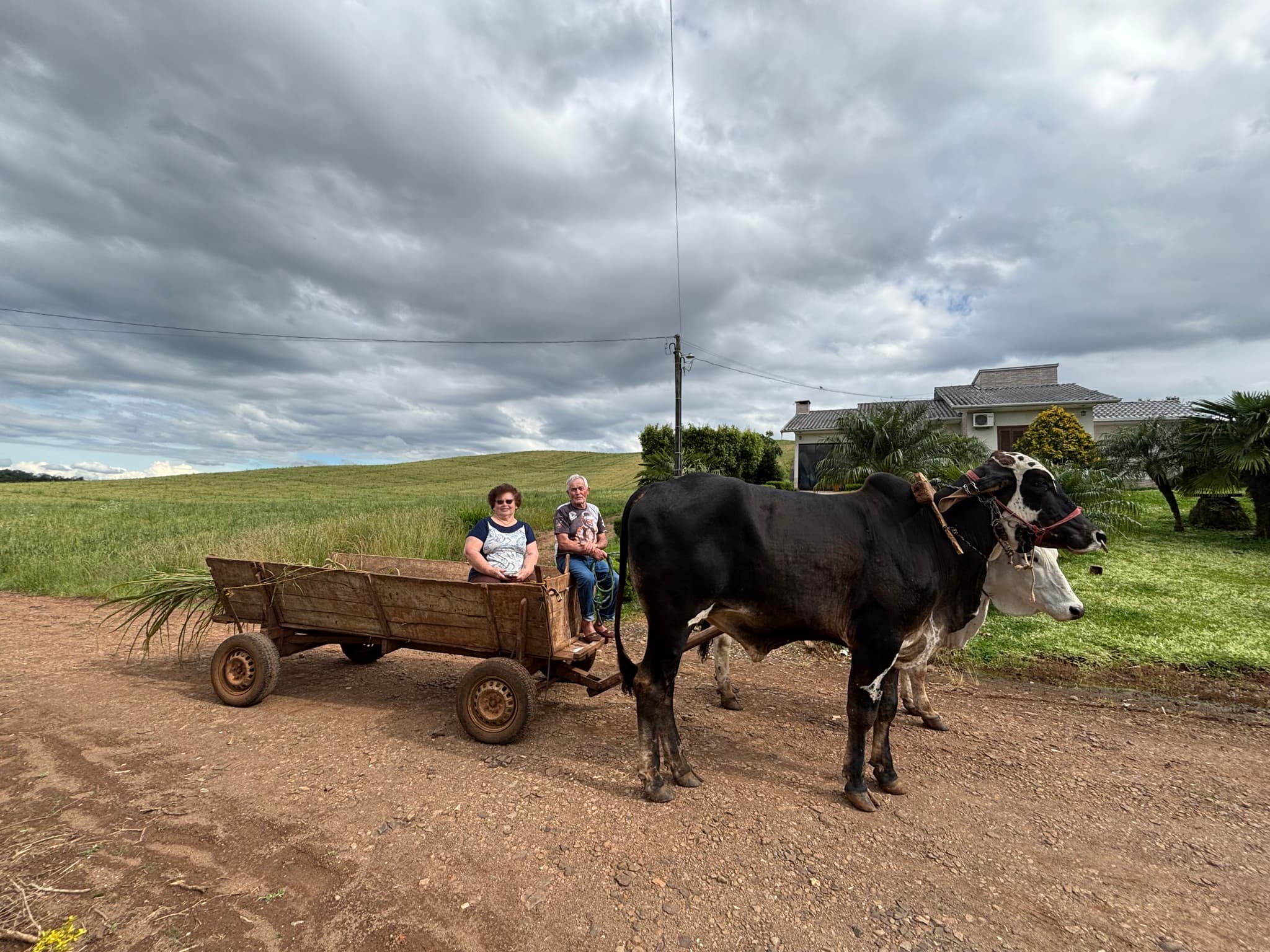 Casal reside no Oeste de Santa Catarina (Foto por Henrique Paulo Koch)