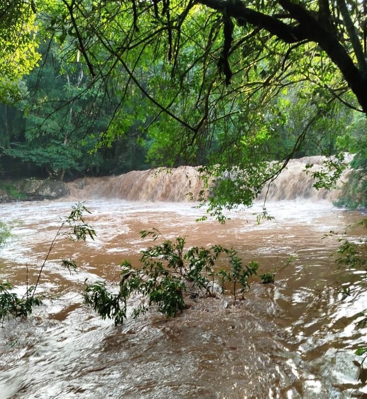 Rápida ação dos bombeiros salva três vítimas arrastadas por correnteza (por Divulgação CBM)