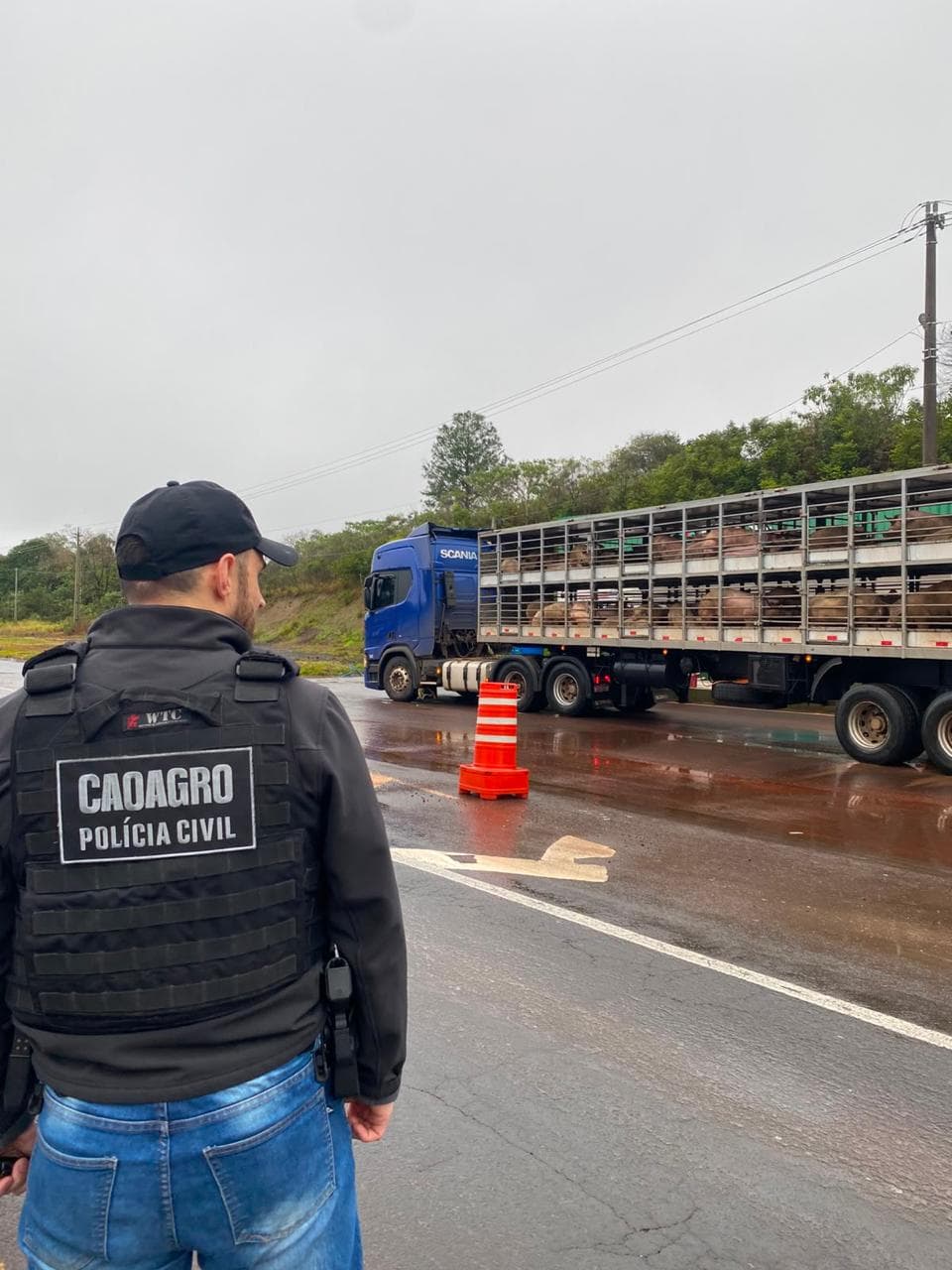Os trabalhos foram realizados pelo Centro de Apoio Operacional de Combate aos Crimes contra o Agronegócio (Foto por Divulgação)