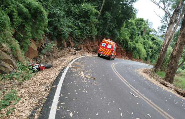 Vítima estava caída sem vida (por Corpo de Bombeiros)