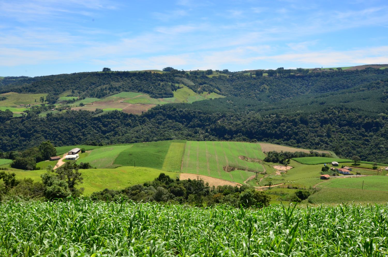 SC Rural 2 abre primeira etapa para projetos de agricultores e pescadores