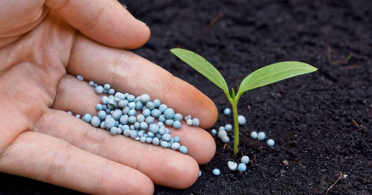 Senado aprova plano para fabricação de fertilizantes no Brasil (Foto por Agroadvance)