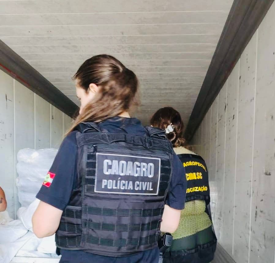 Ação feita pela polícia (Foto por Polícia Civil)