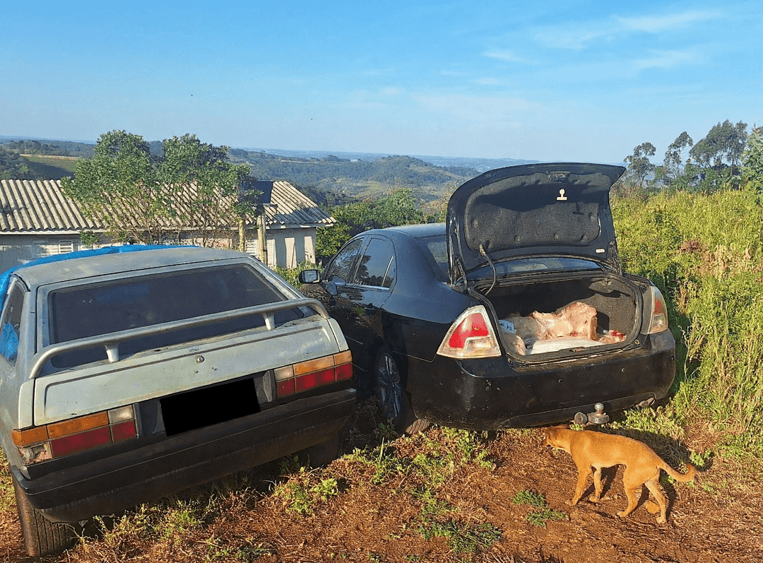 Funcionário é preso ao colocar 160 kg de carne no carro da esposa