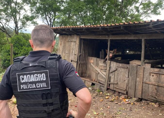 Polícia fiscaliza propriedade rural e apura maus-tratos a animais