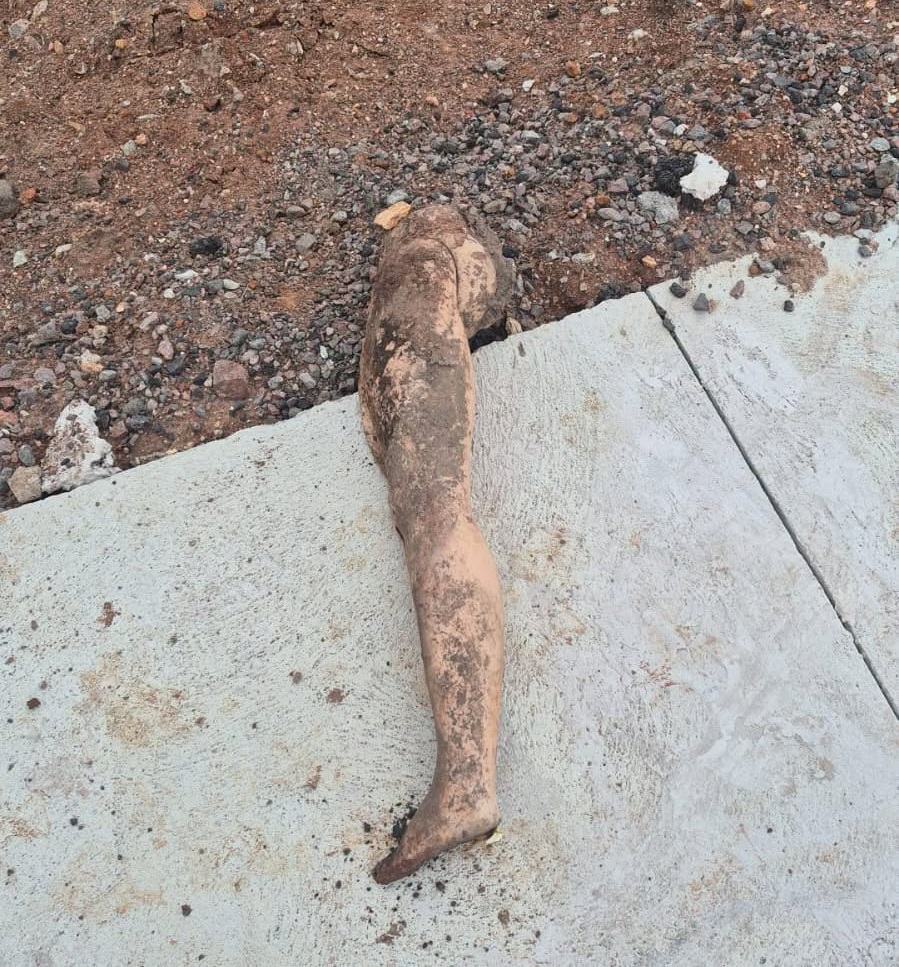 Parecia parte de um corpo, mas era um boneco de plástico