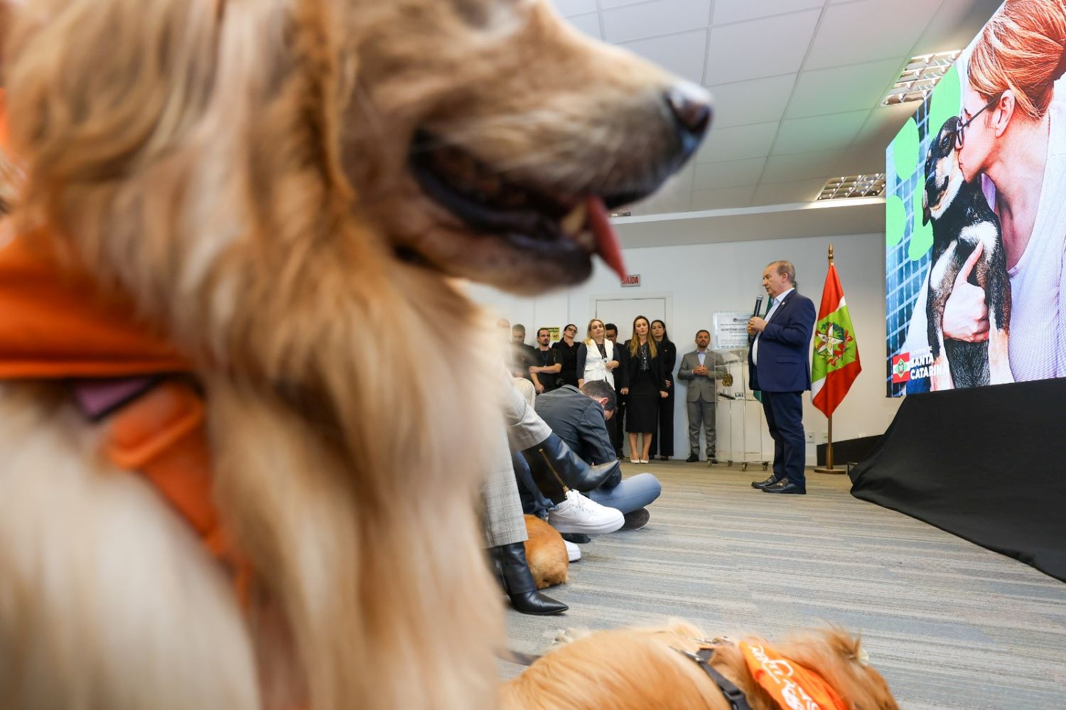 Programa estadual de castração tem início e Nova Itaberaba figura entre as primeiras cidades contempladas