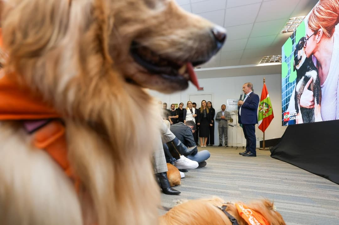 Programa estadual de castração tem início e Nova Itaberaba figura entre as primeiras cidades contempladas