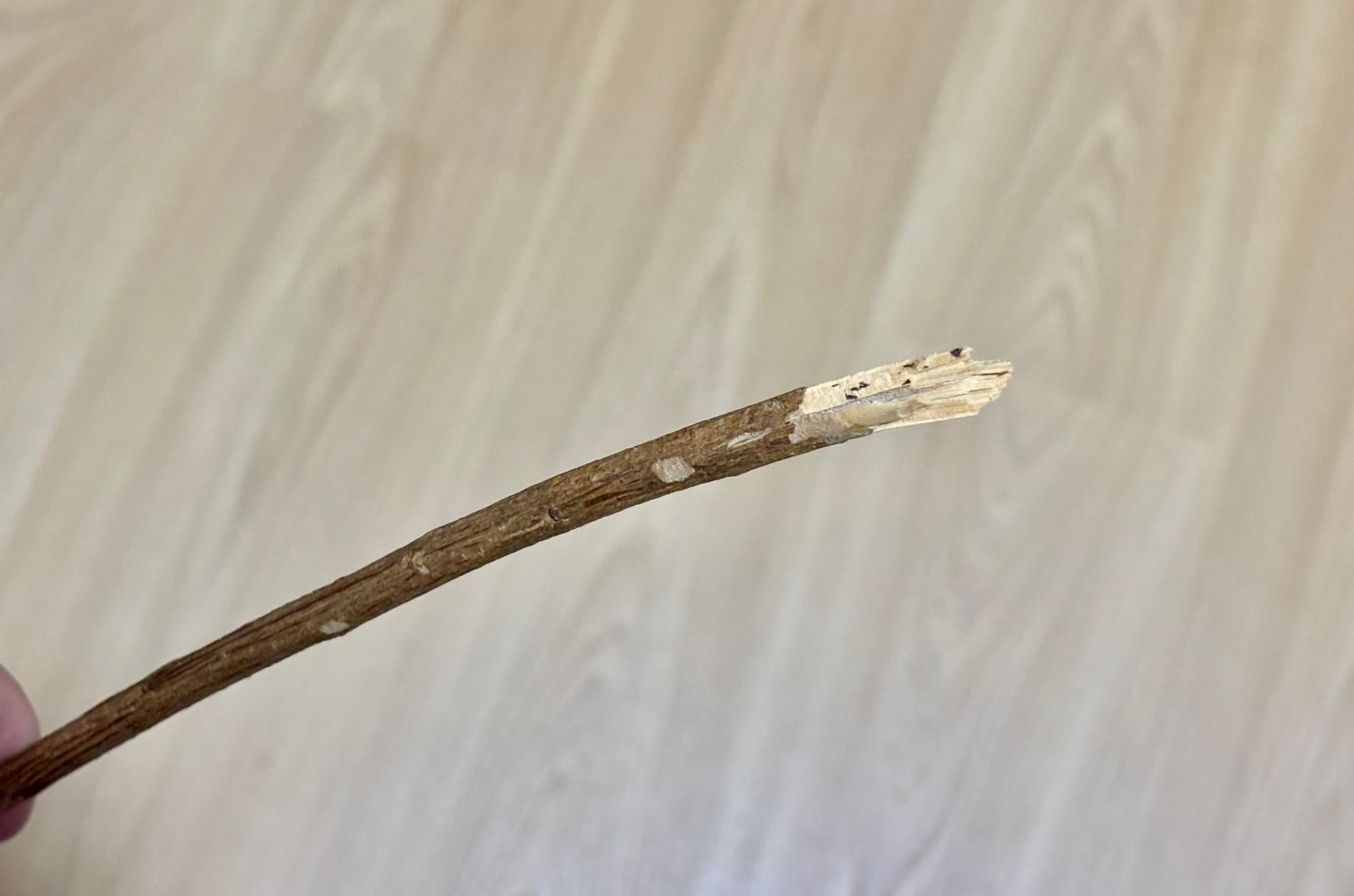 PM verificou lesões em criança (Foto por Ilustração)