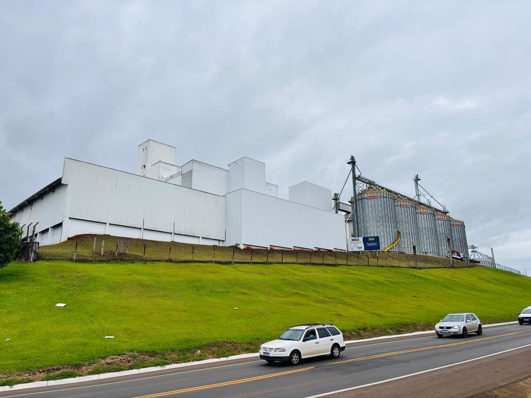 Indústria de farinhas Itaipu se transforma em potência nacional do trigo