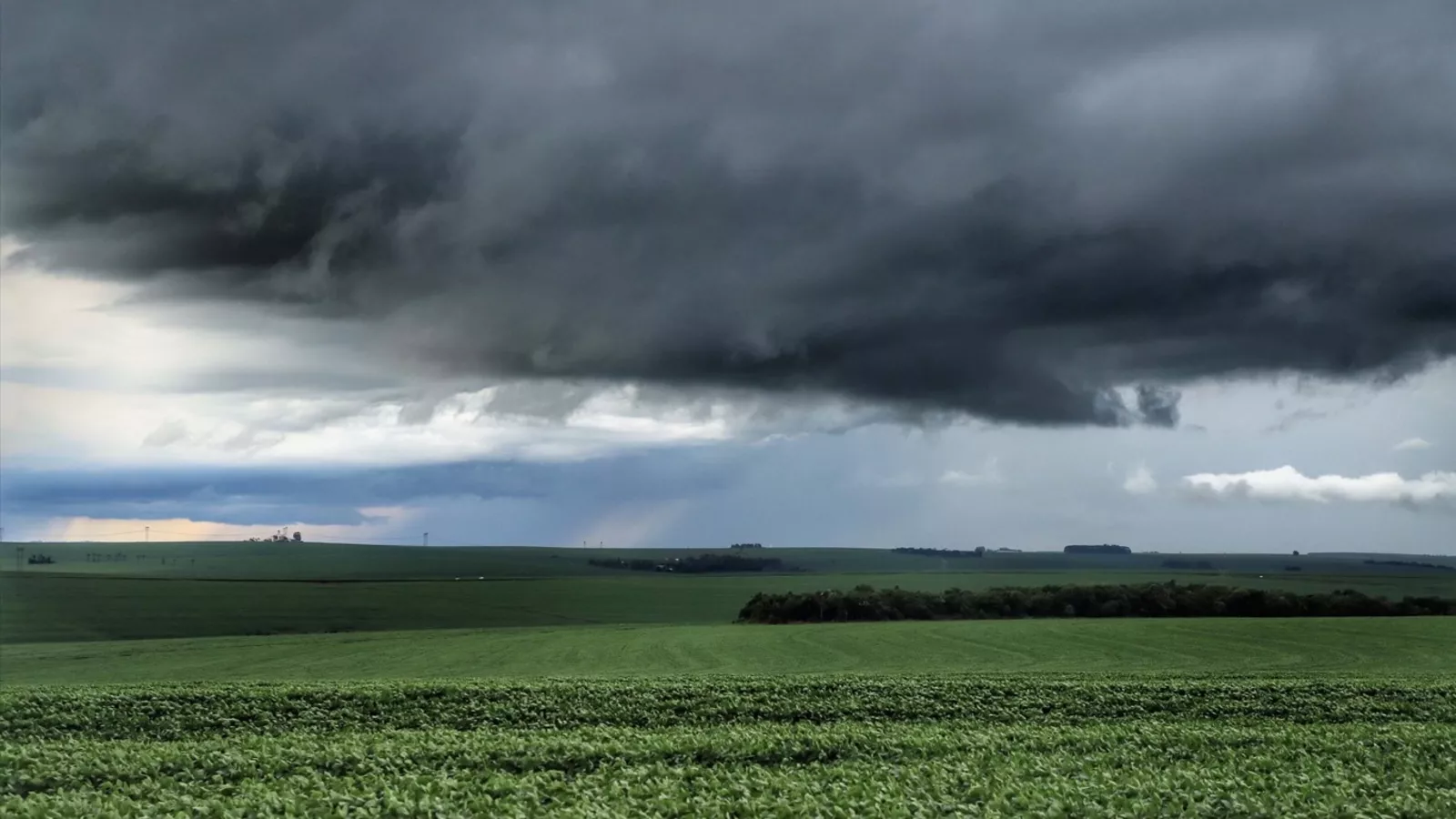 Epagri alerta para impactos do El Niño e orienta produtores sobre como reduzir perdas nas lavouras