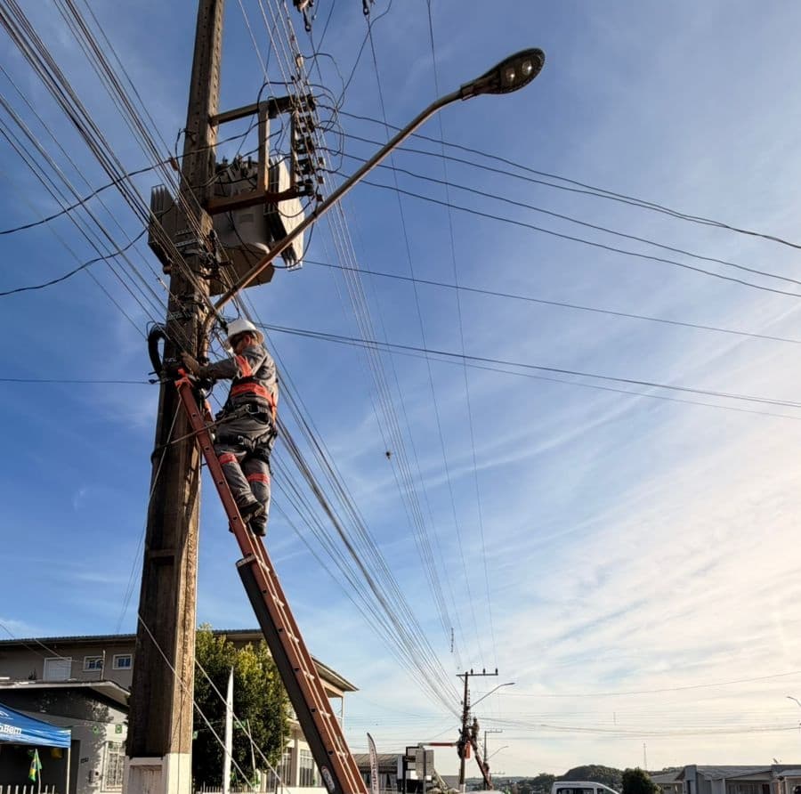 Procon Maravilha promove segunda edição da Operação Limpa Fios (Foto por Ascom)