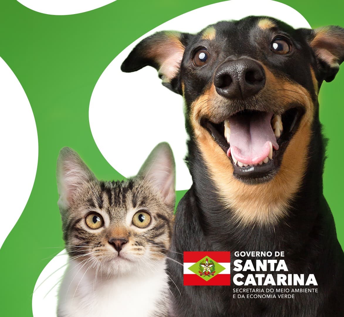 Município de Modelo abre inscrições para o Programa Pet Levado a Sério (Foto por Divulgação)