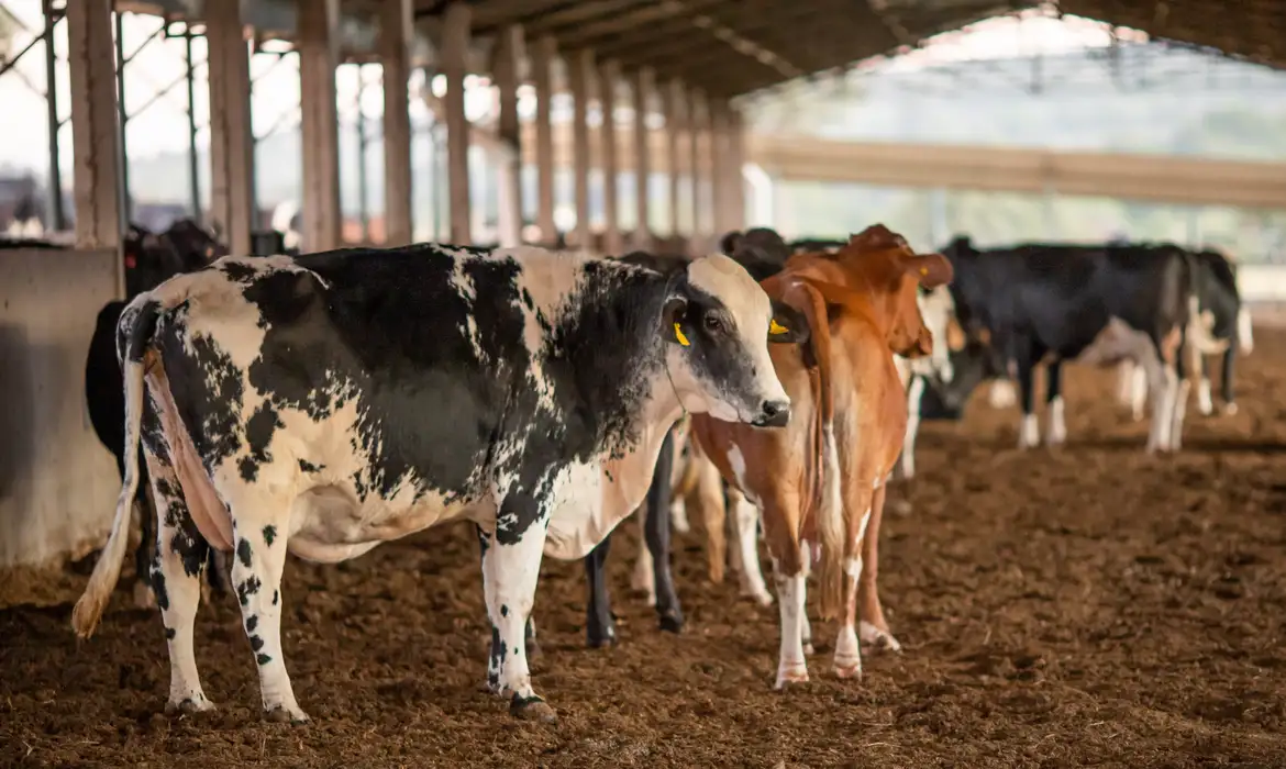 União Europeia suspende entrada de carnes e produtos de origem animal do Brasil