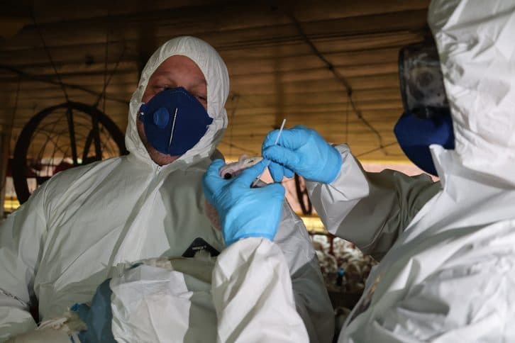 Vigilância ampliada reforça o monitoramento sanitário no Oeste catarinense (Foto por Cidasc)